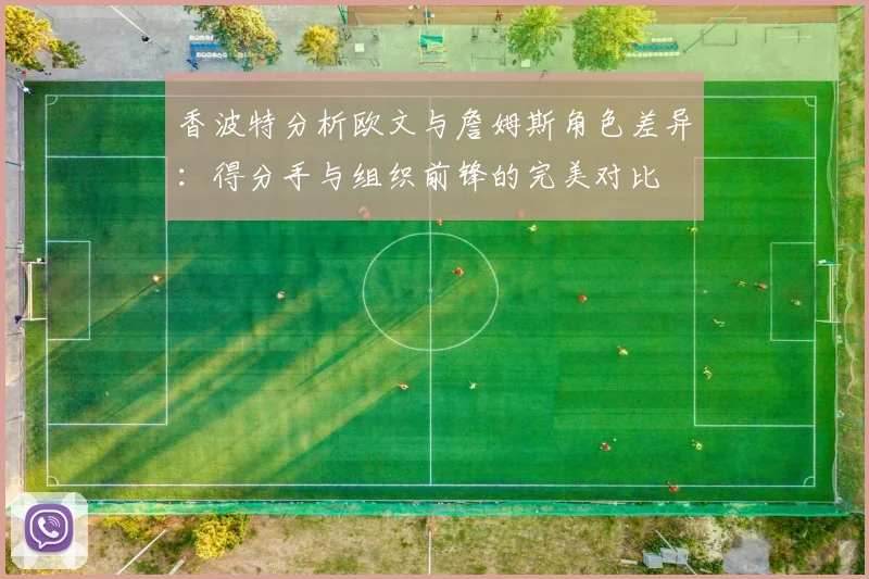 香波特分析欧文与詹姆斯角色差异：得分手与组织前锋的完美对比